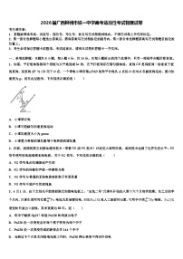 2026届广西柳州市铁一中学高考适应性考试物理试卷含解析