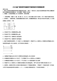 2026届广西贺州平桂高级中学高考临考冲刺物理试卷含解析