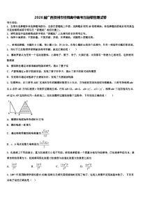 2026届广西贺州市桂梧高中高考压轴卷物理试卷含解析