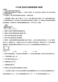 2026届广西玉林市玉州区高考物理一模试卷含解析