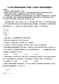 2026届广西梧州市蒙山县第一中学高三3月份第一次模拟考试物理试卷含解析