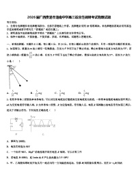 2026届广西贵港市港南中学高三适应性调研考试物理试题含解析