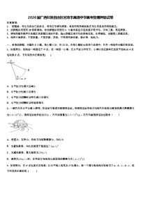 2026届广西壮族自治区河池市高级中学高考物理押题试卷含解析