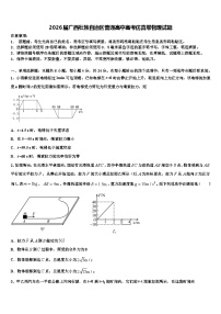 2026届广西壮族自治区普通高中高考仿真卷物理试题含解析