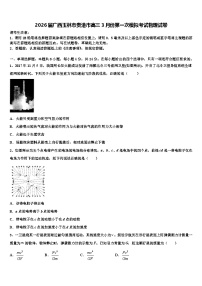 2026届广西玉林市贵港市高三3月份第一次模拟考试物理试卷含解析