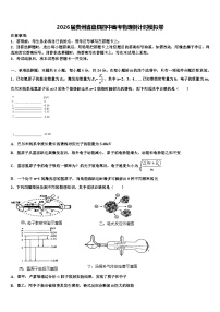 2026届贵州省盘县四中高考物理倒计时模拟卷含解析