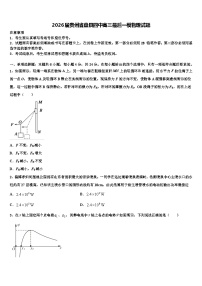 2026届贵州省盘县四中高三最后一模物理试题含解析