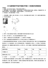 2026届贵州省毕节市威宁县黑石中学高三3月份模拟考试物理试题含解析