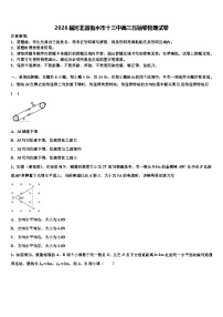 2026届河北省衡水市十三中高三压轴卷物理试卷含解析