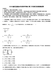 2026届河北省衡水市武邑中学高三第二次诊断性检测物理试卷含解析