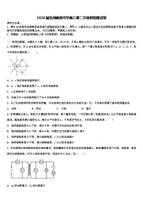 2026届杭州高级中学高三第二次调研物理试卷含解析2