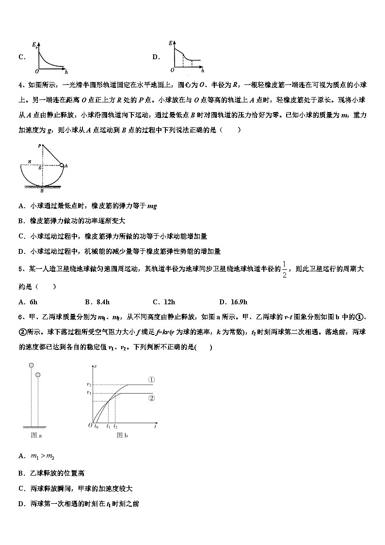 2026届河北省邯郸市第二中学高考冲刺押题(最后一卷)物理试卷含解析第2页