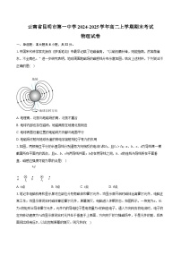 云南省昆明市第一中学2024-2025学年高二上学期期末考试物理试卷（含答案）