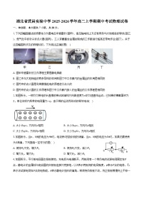 湖北省武昌实验中学2025-2026学年高二上学期期中考试物理试卷（含答案）