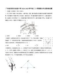 广东省深圳市高级中学2024-2025学年高二上学期期末考试物理试题（含答案）