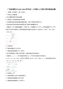 广东省揭阳市2025-2026学年高二上学期11月期中联考物理试卷（含答案）