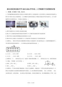 湖北省武昌实验中学2025-2026学年高二上学期期中考试物理试卷（含答案）