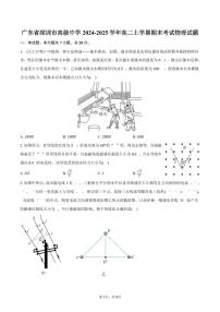 广东省深圳市高级中学2024-2025学年高二上学期期末考试物理试题（含答案）