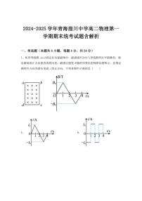 2024-2025学年青海省西宁市青海湟川中学高二上学期期末物理试题(有解析)