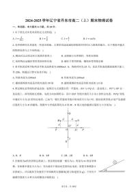 2024-2025学年辽宁省丹东市高二（上）期末物理试卷（有解析）