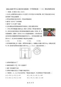2024-2025学年云南省西双版纳一中等四校高一（上）期末物理试卷（有答案）
