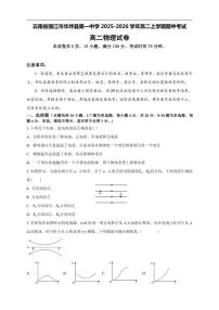 2025-2026学年云南省丽江市华坪县第一中学高二上学期期中考试物理试卷（有解析）