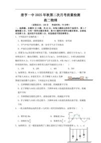2025-2026学年贵州省黔西南布依族苗族自治州册亨县第一高级中学高二上学期第二次月考质量检测物理试卷(有解析)