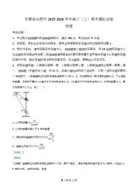 安徽省合肥市2025-2026学年高三上学期期末模拟物理试题（Word版附解析）