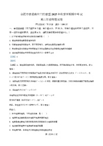 安徽省合肥市普通高中六校联盟2025-2026学年高二上学期期中考试物理试题（Word版附解析）