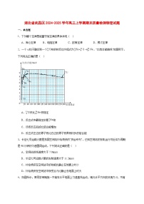 湖北省武汉市武昌区2025届高三上学期期末质量检测物理试题 [含答案]