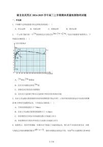 湖北省武汉市武昌区2025届高三上册期末质量检测物理试题（含答案）