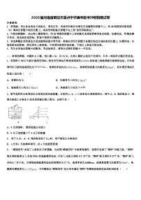 2026届河南省鹤壁市重点中学高考临考冲刺物理试卷含解析