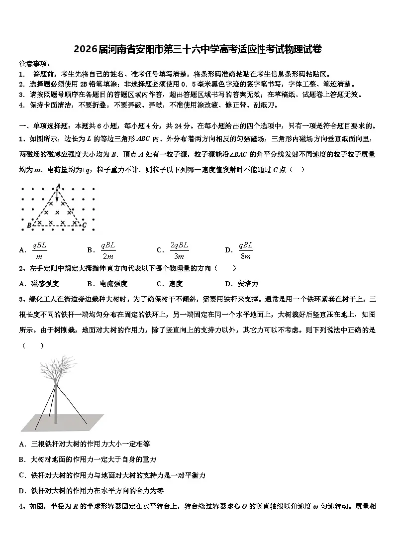 2026届河南省安阳市第三十六中学高考适应性考试物理试卷含解析第1页