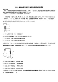 2026届河南省顶级名校高考仿真模拟物理试卷含解析