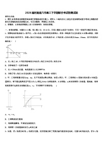 2026届河南省八市高三下学期联合考试物理试题含解析