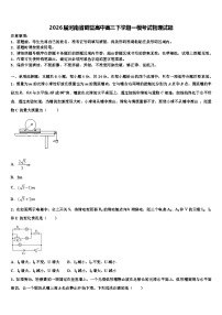 2026届河南省鹤壁高中高三下学期一模考试物理试题含解析
