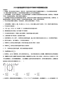 2026届河南省焦作市重点中学高考冲刺物理模拟试题含解析