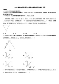 2026届河南省林州市一中高考考前提分物理仿真卷含解析