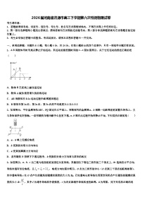 2026届河南省济源市高三下学期第六次检测物理试卷含解析