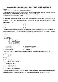 2026届河南省洛阳市理工学院附中高三3月份第一次模拟考试物理试卷含解析