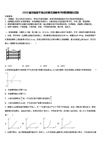 2026届河南省平顶山许昌济源高考冲刺物理模拟试题含解析