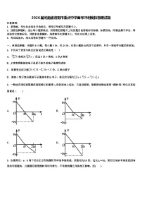 2026届河南省洛阳市重点中学高考冲刺模拟物理试题含解析