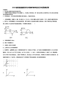 2026届河南省南阳市内乡县高中高考适应性考试物理试卷含解析