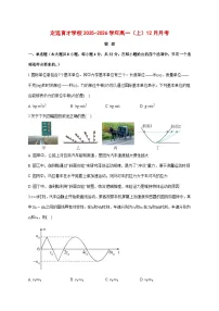 安徽省定远育才学校2025—2026学年高一（上）12月月考物理试题 [含答案]