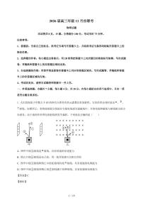 2026届广东省高三上册11月模拟预测联考物理试题（含解析）