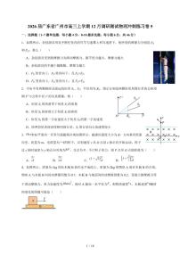 2026届广东省广州市高三上册12月调研测试物理试题（5）（含答案）