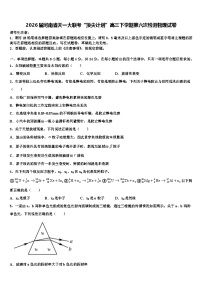 2026届河南省天一大联考“顶尖计划”高三下学期第六次检测物理试卷含解析