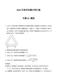 2025年高考物理试题分类汇编 专题10 磁场