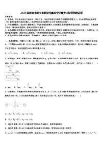 2026届河南省新乡市新誉佳高级中学高考压轴卷物理试卷含解析