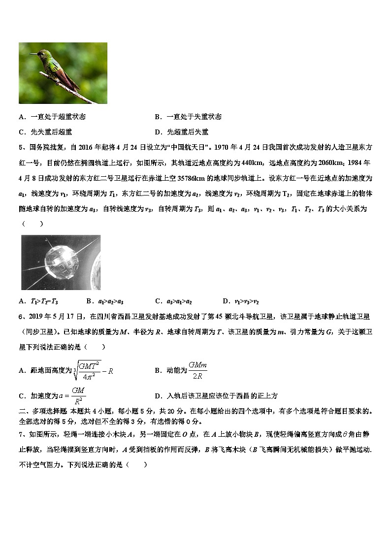 2026届河南省周口中英文学校高考物理考前最后一卷预测卷含解析第2页